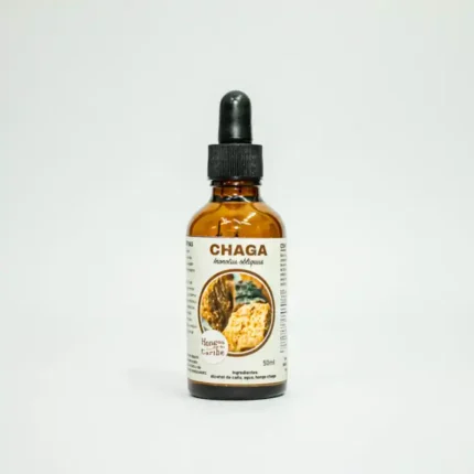 Extracto de Chaga líquido